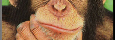 Home Selling 102: Marketing Plan