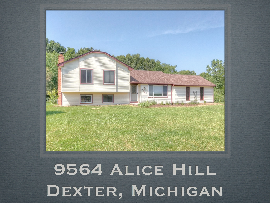 9564 Alice Hill Dexter MI.001