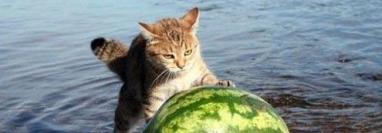 The Long, Deep Breath