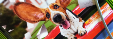 Where’s Waller? | June 14th, 2011