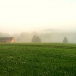 Kentucky-Morning