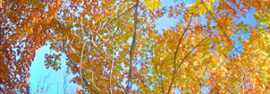 On the iPod: Bon Iver