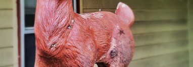 Can you hear me now?