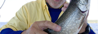 Saturday Morning Cuppa | 8/31/13