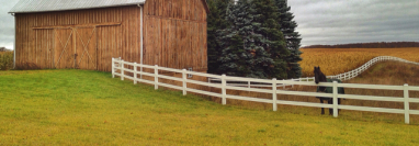 Comforts of the Field