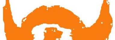 David Webber | Testimonial