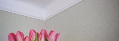 Thou Shalt Not | Seller Edition