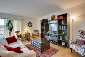 783 Skynob Ann Arbor MI 48105 003-Living Room