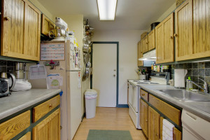 783 Skynob Ann Arbor MI 48105 008-Kitchen