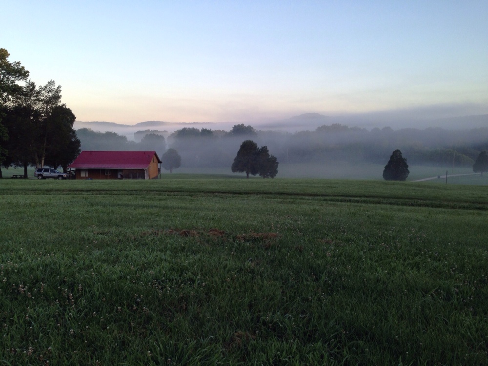 Morning of Independence