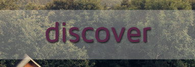 The Mortgage Lender’s Role