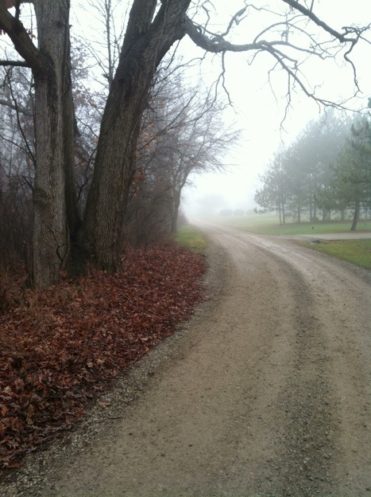 The Path