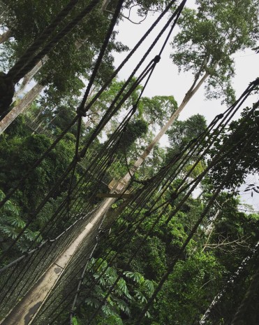 Bridge of Heaven