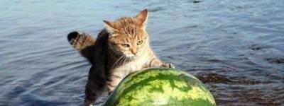 The Long, Deep Breath