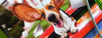 Where’s Waller? | June 14th, 2011