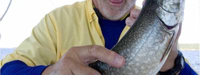 Saturday Morning Cuppa | 8/31/13